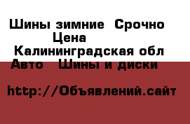 Шины зимние! Срочно! › Цена ­ 2 500 - Калининградская обл. Авто » Шины и диски   